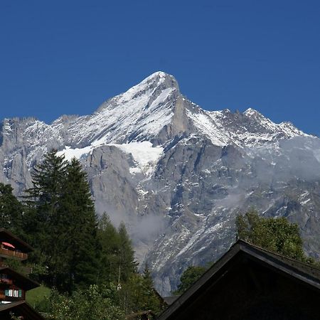 Apartment Baereggblick - Griwa Rent Ag Grindelwald Extérieur photo