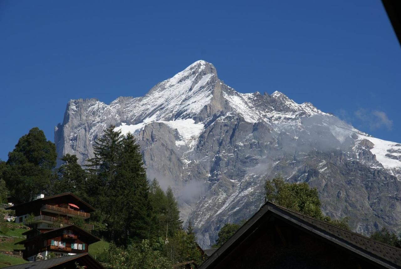 Apartment Baereggblick - Griwa Rent Ag Grindelwald Extérieur photo